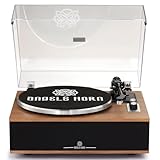 ANGELS HORN Schallplattenspieler Vinyl, Plattenspieler Bluetooth HiFi mit Lautsprechern Eingebautem Phono-Vorverstärker 33/45 U/min und AT-3600L Tonabnehmer