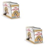 ROYAL CANIN Persian Adult Mousse | Doppelpack | 2 x 12 x 85 g | Alleinfuttermittel für Katzen - speziell für ausgewachsene Perserkatzen | Geeignet ab dem 12. Lebensmonat