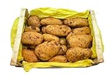BAMELO® Kartoffeln Spunta aktuellen Ernte 15 KG