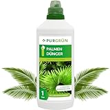 Purgrün Palmendünger 1 Liter