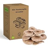 PilzWald Austernpilz GrowKit - Austernseitlinge selber züchten - Pilzzucht Set für Anfänger mit Sprühflasche & Bilder-Anleitung - Haus & Garten