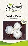 White Pearl Kürbissamen