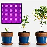 AVZYARDY LED-Pflanzen-Wachstumslicht, 45 W Vollspektrum-Wachstumslicht mit Haken, 225 LED-Pflanzenwachstums-Glühbirne für den Innengarten, Gemüse-Wachstumszelt