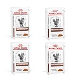 Royal Canin Veterinary Gastrointestinal | 4er Pack | 4 x 12 x 85 g | Nassfutter für ausgewachsene Katzen | Feine Stückchen in Soße | Bei Resorptionsstörungen des Darms