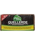 PFLANZWERK® Pflanzkübel Quellerde Blumenerde Pflanzerde 80 Liter 100% Bio 100% Torffrei - Premium MARKENQUALITÄT -