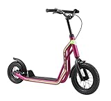 STAR SCOOTER Kinder Tret Roller ab 6-7 Jahre | 12/10 Zoll Mixed City Kick Scooter Luftreifen | Berry