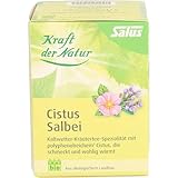 Salus Bio Cistus Salbei Tee, 15 Beutel