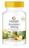 Bromelain Kapseln - 250mg Bromelain pro Kapsel - 600 F.I.P - natürliches Ananasenzym - vegan & hochdosiert - 100 Kapseln | Warnke Vitalstoffe