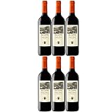 El Coto de Rioja Tinto Crianza Rioja DOCa Tempranillo Trocken Spanien I Visando Paket (6 x 0,75l)