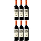 El Coto de Rioja Tinto Crianza Rioja DOCa Tempranillo Trocken Spanien I Visando Paket (6 x 0,75l)