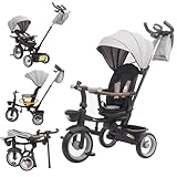 Twinly - Evolutionäres Dreirad für Babys, Sami, faltbar, mit drehbarem Sitz, um 360 Grad drehbar, 2 Jahre – Kinderwagen, Lauflernspielzeug, 1-5 Jahre oder 25 kg – Licht, ausziehbares Verdeck (Grey)