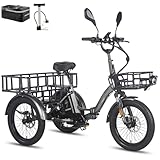 Fafrees F20 Mate Klapprad E Bike Dreirad für Erwachsene 20 Zoll [ Offiziell ] Damen Elektrofahrrad Herren 180 KG, Lastenfahrrad 65N.m Motor, Ebike Hydraulische Scheibenbremsen, Fatbike Elektro Dreirad