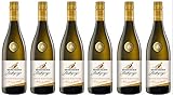 Grauburgunder Baßgeige Kabinett Trocken aus Baden, 6x0,75l I Vielseitig & Elegant I Ideal zu Steaks I Fruchtige Aromen I 3-4 Jahre Lagerpotenzial