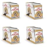 ROYAL CANIN Persian Adult Mousse | 4er Pack | 4 x 12 x 85 g | Alleinfuttermittel für Katzen - speziell für ausgewachsene Perserkatzen | Geeignet ab dem 12. Lebensmonat