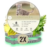 Animalea® Zeckenhalsband für Katze (2 Stück) - Länge 38cm - wirksamer Schutz gegen Zecken und Flöhe - wasserfest und größenverstellbar bis zu 8 Monaten Zeckenschutz mit 100% natürlichen Inhaltsstoffen
