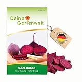 Rote Beete Rote Kugel 2 Samen - Beta vulgaris - Rübensamen - Gemüsesamen - 3 g Saatgut