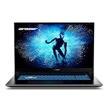 ERAZER Defender P50 43,9 cm (17,3' Zoll 100% sRGB 144Hz) FHD Gaming Laptop (Intel Core i7-13620H, 32GB DDR4 RAM, 2TB SSD, GeForce RTX 4060 8GB GDDR6, Win 11 Home)