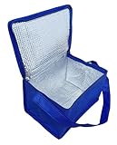 Shentian Kleine Kühltasche Kühlbox blau/Lunch-Taschen/Kühltaschen & -Boxen (Blau Kühltaschen)