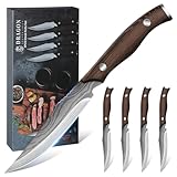 Dragon Creek Holzgriff Steakmesser Set, Steakmesser 4-teilig Edelstahl, Steakbesteck für Heim und Restaurant Geschenkbox, Scharfe Fleischmesser, Geschenke für Männer Frauen Väter Mütter