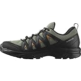 Salomon X Braze Gore-Tex Herren Wander Wasserdichte Schuhe, Hiking-Basics, Sportliches Design, Vielseitiger Einsatz, Deep Lichen Green, 46