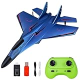 WDKXCN RC Flugzeug 2CH, 2.4Ghz Ferngesteuertes Flugzeug Spielzeug Styroporflieger mit LED-Licht, Ferngesteuerte Flugzeuge mit Fernsteuerung und USB Aufladung, RC Airplane für Erwachsene