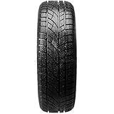 Evergreen EW-66 225/40 R19 93V BSW Winterreifen GTAM T221768 ohne Felge