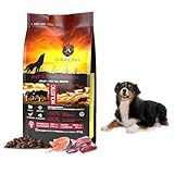 Ambrosia Rindfleisch & frischer Lachs hundefutter trocken für Mini-Rassen | Getreidefrei & Hypoallergen | Proteinreiches trockenfutter für Hunde (12 kg Packung)