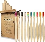 GeekerChip bambus zahnbürsten(10 Stück) BPA Frei,zahnbürste holz,Umweltfreundliche,Unabhängige Verpackung,10 Farben,Biologisch Abbaubare