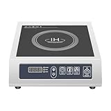 Donened - Induktionskochplatte, 3500W Induktionskochfeld 1 Platte, Elektro Kochfeld Induktion, 60-300℃ Temperaturstufen, 24 Stunden Timer, Überhitzungsschutz, bis Belastbar 75kg