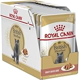 Royal Canin Adult British Shorthair Nassfutter, 12 x 85 g