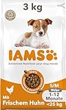 IAMS Junior Hundefutter trocken mit Huhn - Welpenfutter für Welpen im Alter von 1-12 Monaten, geeignet für kleine & mittelgroße Rassen, 3 kg