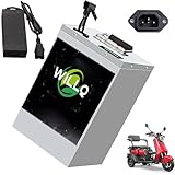 WILLQ Motorradbatterie 48 Volt E-Bike-Batterie 48 V 45 Ah 50 Ah 60 Ah 65 Ah 80 Ah 120 Ah Lithium-Ionen-Batterien mit Ladegerät für 250 W-5500 W Motor-Umrüstsatz,48v,60AH