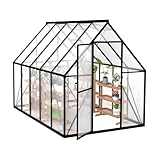 YRHome Premium Gewächshaus Aluminium 280x180x195cm 5.04m² Begehbares Garten-Gewächshaus mit verstärktem Fundament & Dachfenster & Tür Wetterfest & temperaturbeständig für Tomaten, Gemüse & Pflanzen