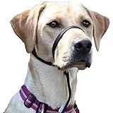 Premium Geschirr Hund - Erziehungshalsband liebevoll, Antizug- / no pull Geschirr garantiert, mindert Aggression, Antibellhalsband, Kopfhalfter, Hundehalfter: kleine bis große Hunde, schwarz