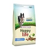 Happy Life Hundefutter für Erwachsene, mit Lachs für gesunde Haut und glänzendes Fell, für Erwachsene, Hundefutter - Gesundes Futter - 15 kg