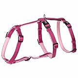 Nobby Sicherheitsgeschirr Turva Himbeere Hals: 24-34 cm, Brust: 30-40 cm, 10 mm