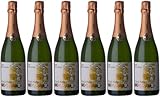 Franck Massard Mas Sardana Cava DO Brut nature (naturherb) (6 x 0.75 l)