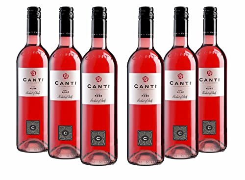 CANTI Vino Rosé - Roséwein 6 Flaschen - Italien wein trocken (6 x 0.75l)