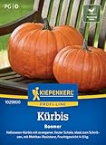 Kiepenkerl Profi-Line Kürbissamen Boomer 1029800 - Halloween Kürbis - orange - feste Schale - resistente Sorte - Samen Gemüse, Saatgut, Gemüsepflanzen