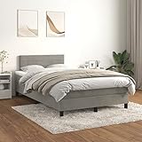 Willood Boxspringbett mit Matratze Hellgrau 120x200 cm SamtHorizontale Streifen