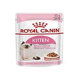 Royal Canin Kitten | 12 x 85 g | Nassfutter für Kitten | Feine Stückchen in Soße | Speziell für Katzenwelpen in der zweiten Wachstumsphase bis zum 12. Monat
