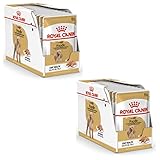 Royal Canin Poodle Adult | Doppelpack | 2 x 12 x 85 g | Nassfutter für ausgewachsene Pudel | Zur Unterstützung des Fells | Optimale tägliche Ernährung | Ab dem 10. Lebensmonat