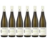 Hans Baer - Riesling Trocken - Weisswein - Qualitätswein aus Rheinhessen, Deutschland (6 x 0.75 l)