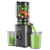 Entsafter Slow Juicer mit 120mm XL-Einfüllöffnung für ganze Gemüse und Obst, 600 mL Saftbehälter, einfache Reinigung, Elektrische Saftpresse für Familien, Fitness & Gesundheitsbewusste(Grau)