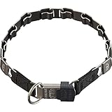 Sprenger Hundehalsband Neck-Tech Fun mit ClicLock Verschluss I Hundehalskette aus rostfreiem Edelstahl, matt, Flache austauschbare Gliederkette, 60cm