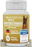 Gelenktabletten Hunde – Test SEHR GUT Made in Germany mit Grünlippmuschel, MSM und Teufelskralle - Keine Kapseln, hohe Akzeptanz Gelenktabletten Hund - 100 Stück