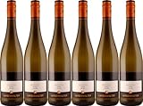 Langenwalter Riesling vom Löss 2024 Trocken (6 x 0.75 l)