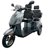Elektromobil VITA CARE 2000 Li – 25 km/h, 2-Sitzer, 1000W Motor, herausnehmbarer Lithium-Akku, bis 90 km Reichweite, führerscheinfrei ab Jahrgang 1965, 3-Rad E-Mobil mit Straßenzulassung