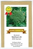 Broccoli - Brokkoli - winterhart - Frühernte - Waltham 29-200 Samen