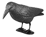 mgc24 Taubenschreck Rabe Lummy - Schwarze Vogelattrappe aus Kunststoff zur Abwehr von Tauben, Möwen, Kleinvögeln für Garten, Balkon, Terrasse